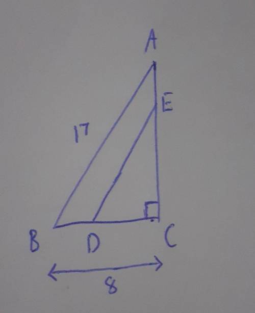 In the diagram, ABC is a right-angled triangle with AB =17 cm and BC= 8 cm. D and E are points on B