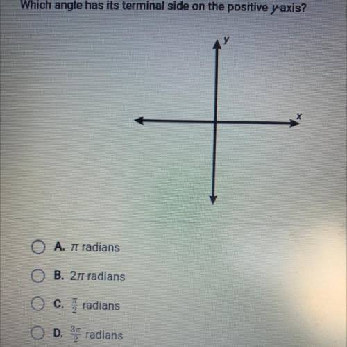 Which angle has its terminal side on the positive yaxis?