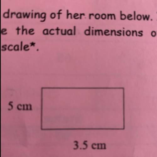 Can you show the scale drawing of her room below. If 2cm on the drawing is equal to 5ft what are th