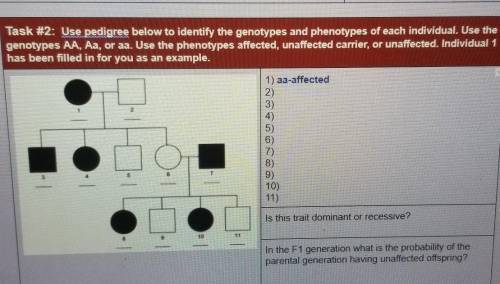 HELP PLS IF UDONT HAVE ANSWER DONT ANSWER Use pedigree below to identify the genotypes and phenotyp
