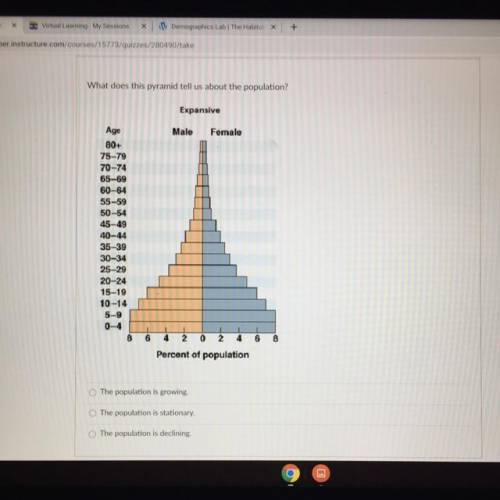 What does this pyramid tell us about the population?