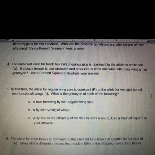 Can any one help me with those questions? Thank you