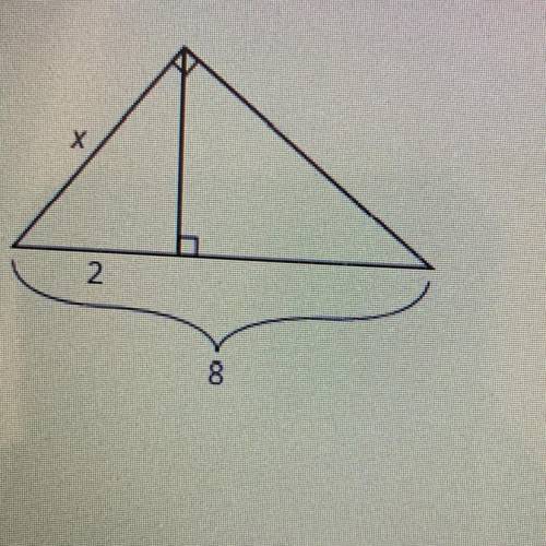 Solve for x
And pls help