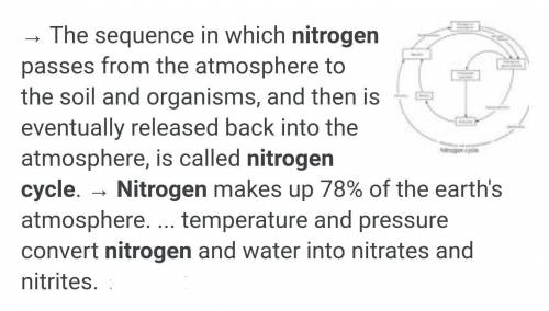 Using at least 5 sentences, mostly in your own words, describe the nitrogen cycle including the foll