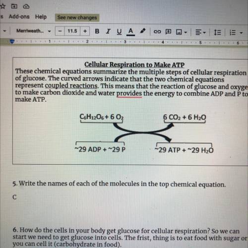 Cellular Respiration to Make ATP

These chemical equations summarize the multiple steps of cellula