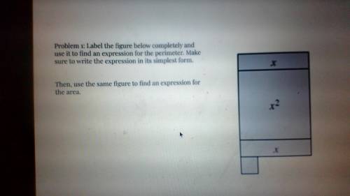 Pls help me With this