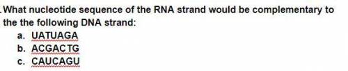 What nucleotide sequence of the RNA strand would be complementary to the the following DNA strand: