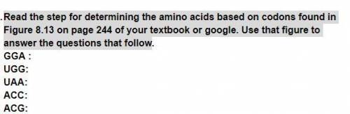 Read the step for determining the amino acids based on codons .Use that figure to answer the questi