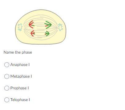 Please help me with my science homework