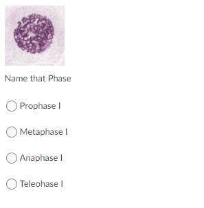 Please help me with my science homework