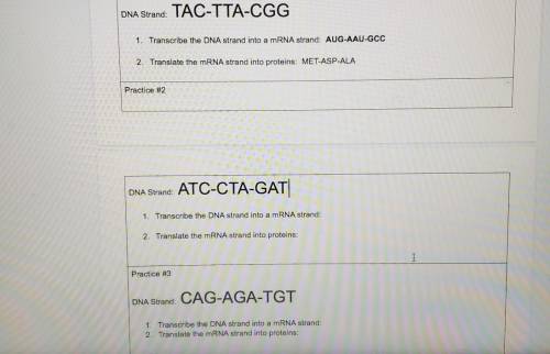 PLEASE HELPPPP

DNA Strand: TAC-TTA-CGG 1. Transcribe the DNA strand into a mRNA strand: AUG-