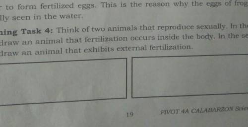 Learning Task 4: Think of two animals that reproduce sexually. In the first

box, draw an animal t