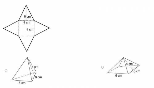 Which figure can be formed from the net?