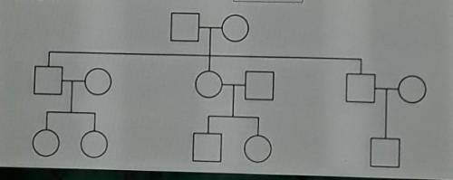 How many males are shown in this pedigree?​