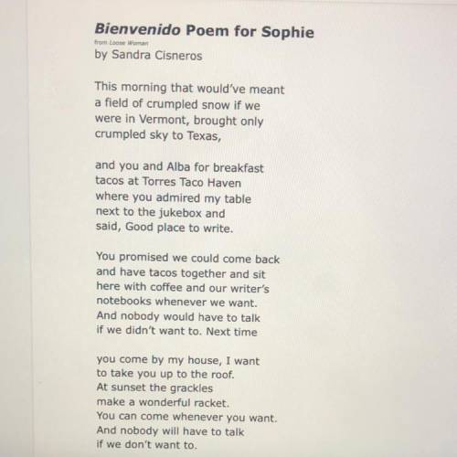 In “bienvenidos poem for Sophie” how does the theme of the poem relate to the setting? Use text evi