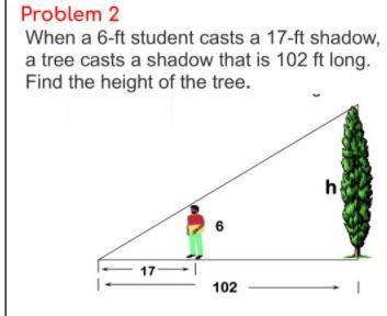 When a 6-ft student casts a 17-ft shadow, a tree casts a shadow that is 102 ft long. Find the heigh
