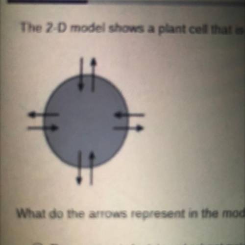 The 2-D model shows a plant cell that is placed in an isotonic solution.

What do the arrows repre