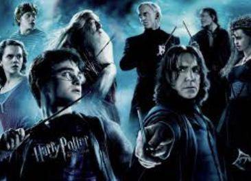 Who was the half blood prince in Harry Potter ?
