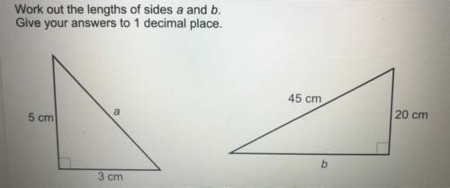 Work out the lengths of sides a and b.

Give your answers to 1 decimal place.
45 cm
20 cm
a
5 cm
b