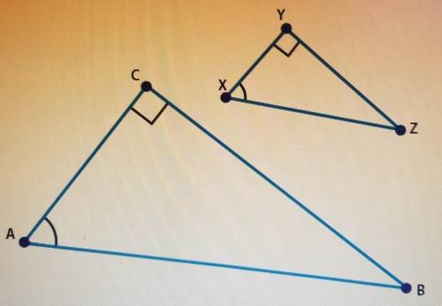 WILL MARK BRAINLIEST!

Triangle XYZ was dilated by a scale factor of 2 to create triangle ACB and