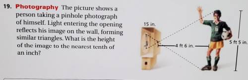 What is the height of the image to the nearest tenth of an inch?