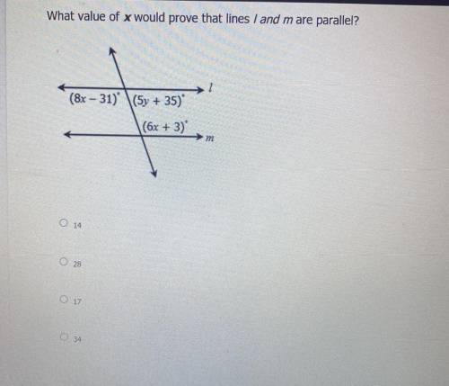 Can someone please help with this question? Thank you