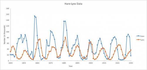 What happens to the hare(rabbit) population (size) when the lynx population increases to a high num