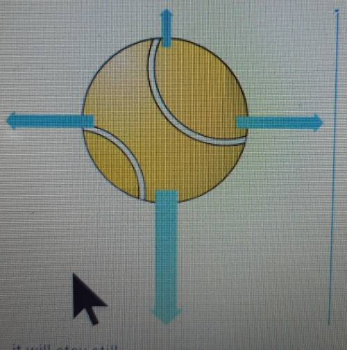 This arrow in the diagram represents the sizes of forces acting on stationary tennis ball what will