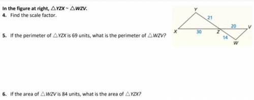 FIRST-PERSON GETS 30 POINTS!!! Can someone please help me with numbers 5 and 6?