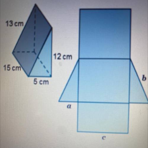 What are the dimensions AB and CD of the net