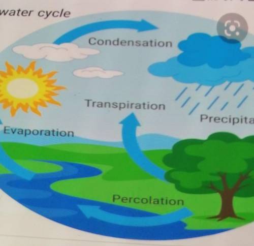 CAN SOMEONE PLEASE SEND ME A GOOD PICTURE OF A WATER CYCLE WITH ALL THE THINGS THAT HAPPEN IN A WATE