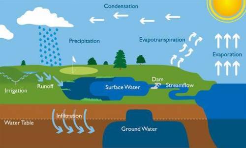 CAN SOMEONE PLEASE SEND ME A GOOD PICTURE OF A WATER CYCLE WITH ALL THE THINGS THAT HAPPEN IN A WATE