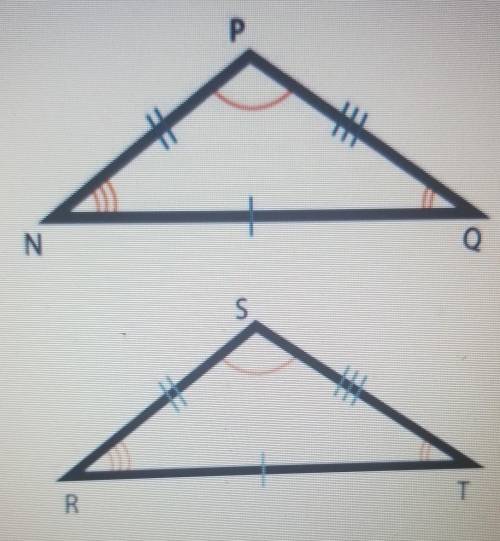 Which congruency statement is correct based on the diagram?

O ¤PQN = ¤TSR Ο ¤PQN = ¤STR O ¤NQP =