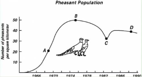 Please help! I need this rn!

What happened to the pheasant population between point B and point C