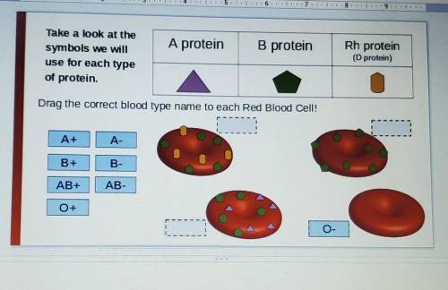 Help please. blood types​