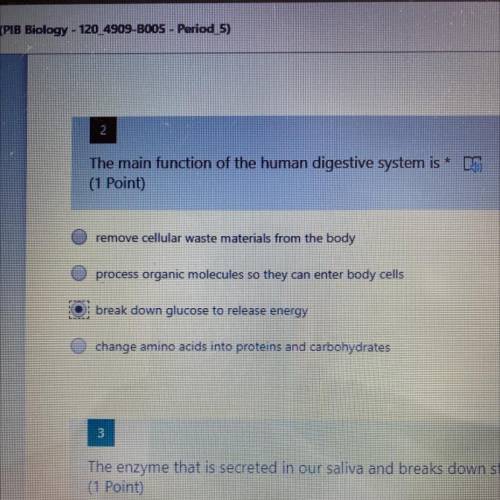 The main function of the digestive system