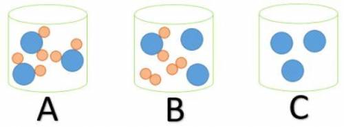 Which beaker contain elements?

Beaker A
Beaker B
Beaker C
None of them