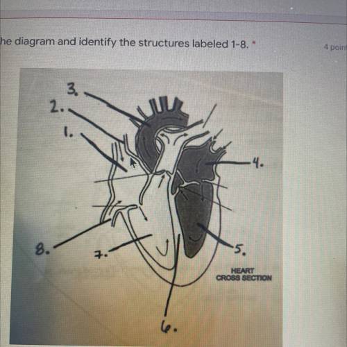 Examine the diagram and identify the structures labeled 1-8