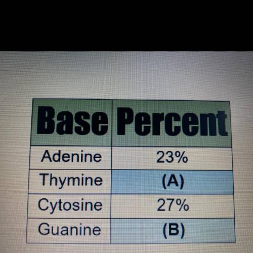 What percentage is Thymine:

A. 23%
B. 27%
C. 77%
D. 73%
What percentage is Guanine:
A. 23%
B. 27%