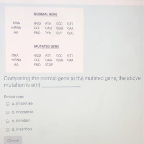 Comparing the norma gene to the mutated gene, the above mutation is a