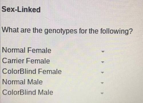 Non-Mendelian genetics practice. Sex-Linked

What are the genotypes for the following? 
Normal fem