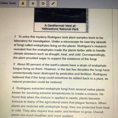 Question 11

How are paragraphs 2 through 4 organized?
Answer
A They compare the plants Rodriguez