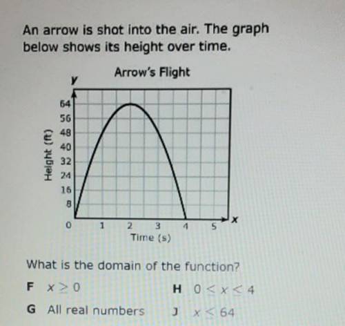 WHAT IS THE DOMAIN OF THE FUNCTION?​
