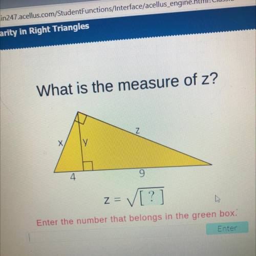 What is the measure of z?