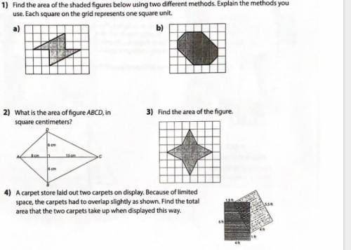 Pls help ill give a 100 jusrt answer these question and ill even give brainliest