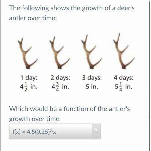 The following shows the growth of a deer's antler over time:

とと
とと
1 day:
2 days:
4. in.
3 days: