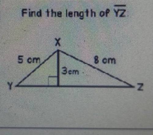 What is the length of YZ​