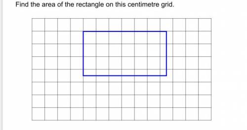 Find the area of the rectangle on this centimetre grid.