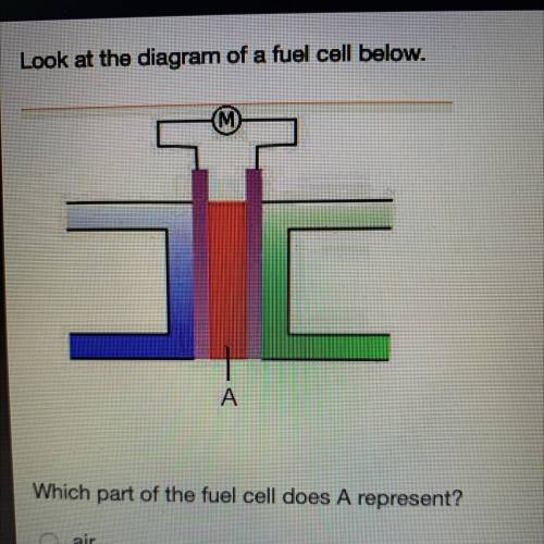 Look at the diagram of a fuel cell below.

Which part of the fuel cell does A represent?
air
anode
