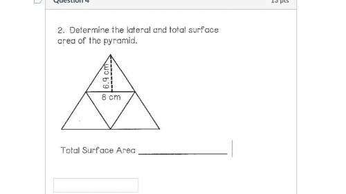 What is the total surface area?